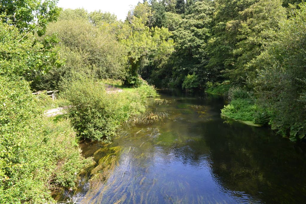 River Itchen at Itchen Valley Country Park, near Eastleigh